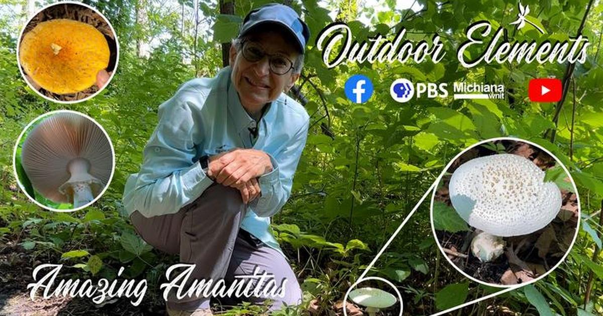 Outdoor Elements | PBS