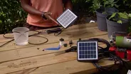 Solar watering