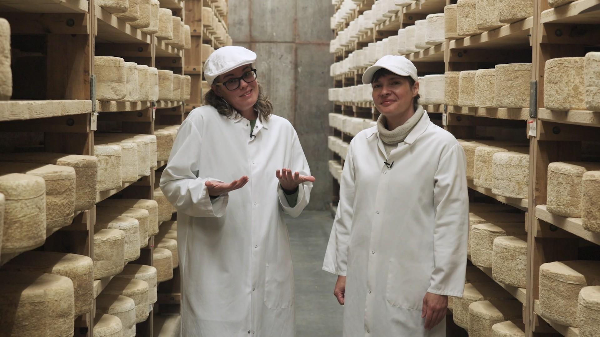 What makes sharp cheese sharp? Asks Bright from Vermont.