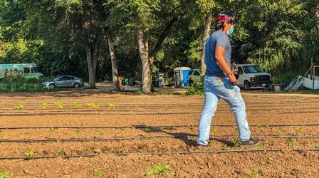 Video thumbnail: Decibel Urban Roots Farm Turns Interns Into Storytellers