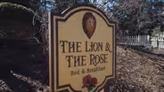 The Lion and the Rose