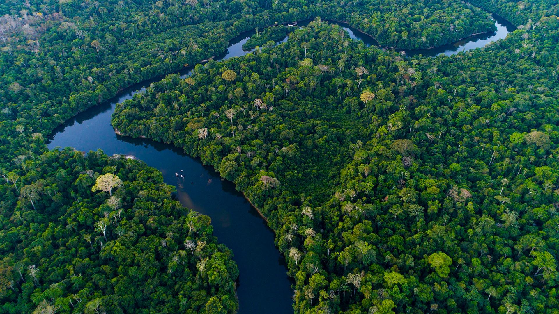 S1 E2: Episode 2 Preview | The Amazon | Rivers of Life | Programs | PBS ...