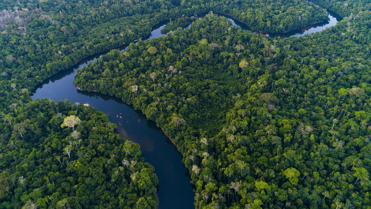 Rivers of Life | Episode 2 Preview | The Amazon