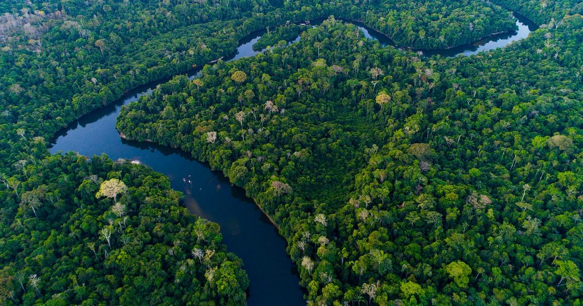 Rivers of Life | Season 1 | Episode 2 Preview | The Amazon | PBS