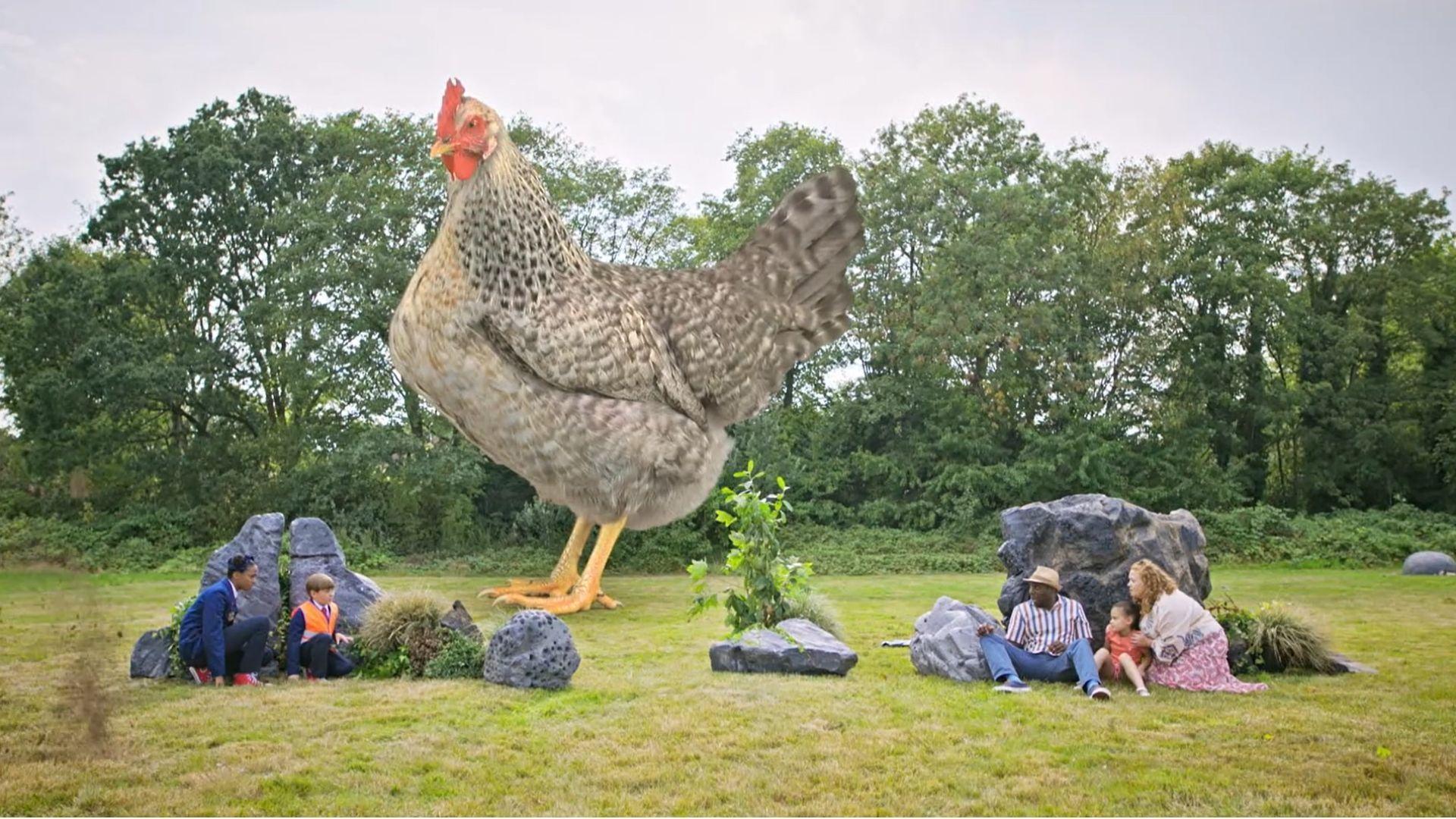 The Good, The Great, and The Hungry/The Rookie Run