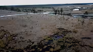 Ghost Forests