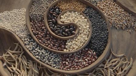 Video thumbnail: Tending Nature Native Foodways with the Cultural Conservancy (Preview)