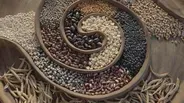 Native Foodways with the Cultural Conservancy  (Preview)