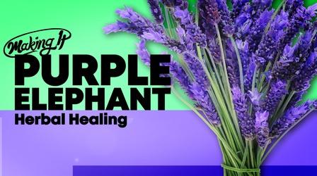 Video thumbnail: Making It Holistic healing with lavender at Purple Elephant