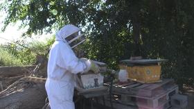 Video thumbnail: KRWG Newsmakers Newsmakers 1206 - Las Cruces Child Trauma Summit; Beekeeper