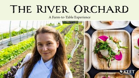 Video thumbnail: The River Orchard The River Orchard