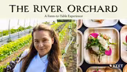 The River Orchard