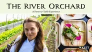 The River Orchard