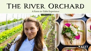 The River Orchard