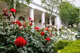 Washington Week Extra for May 22, 2020