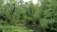 Report urges gov to be proactive in Pinelands preservation
