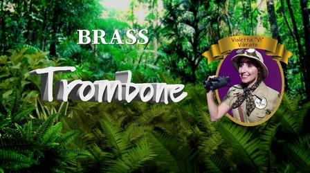 Video thumbnail: TSO Symphonic Safari Adventure! Trombone: Meet Dunwoody, the trombonist!