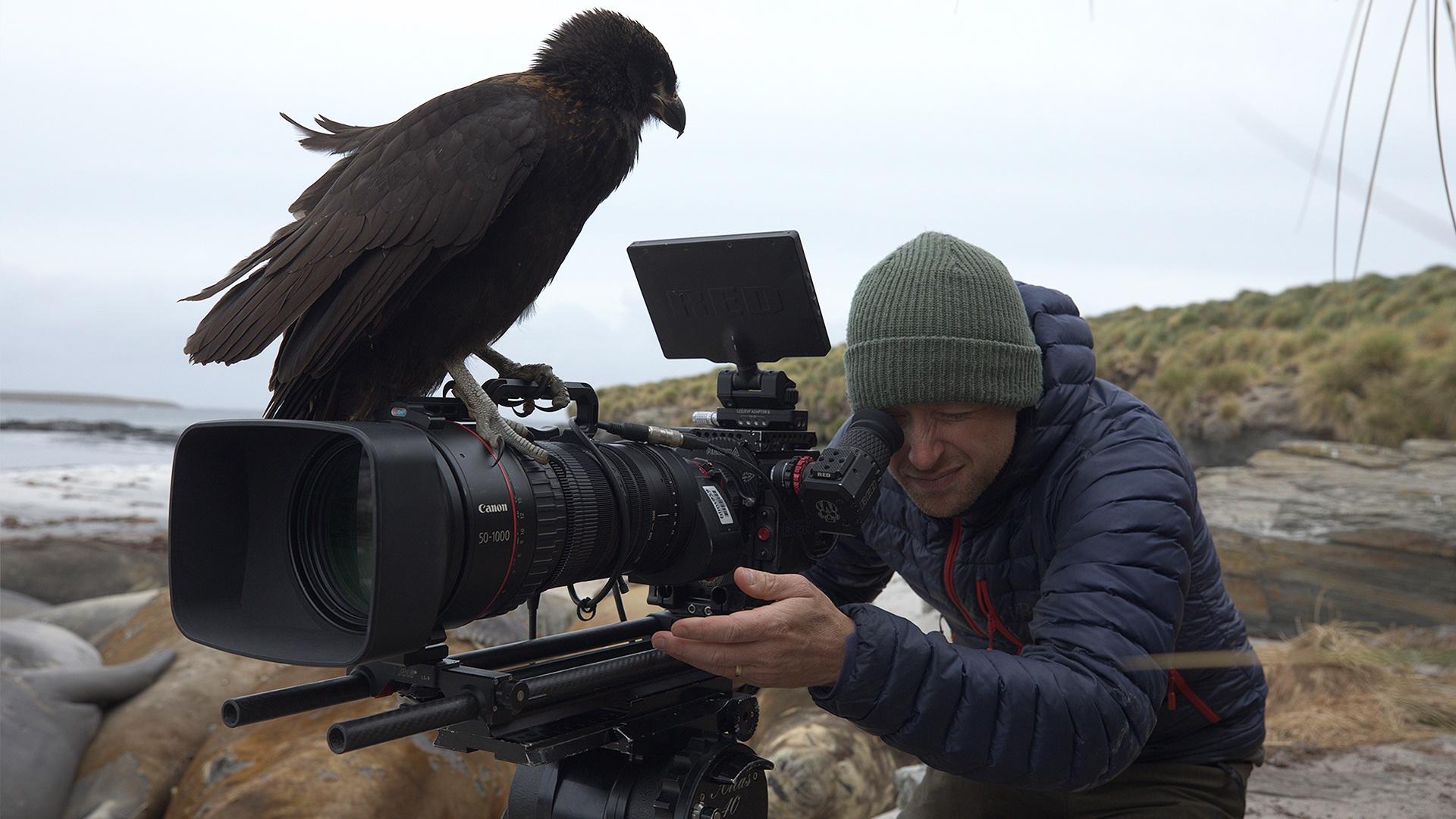 Intelligent Raptors Filming the World's Smartest Raptors | Nature | THIRTEEN - New York ...