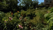 Volunteer Gardener 3320