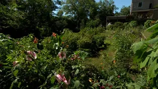 Volunteer Gardener 3320