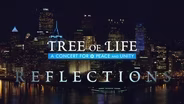 Tree of Life Reflections