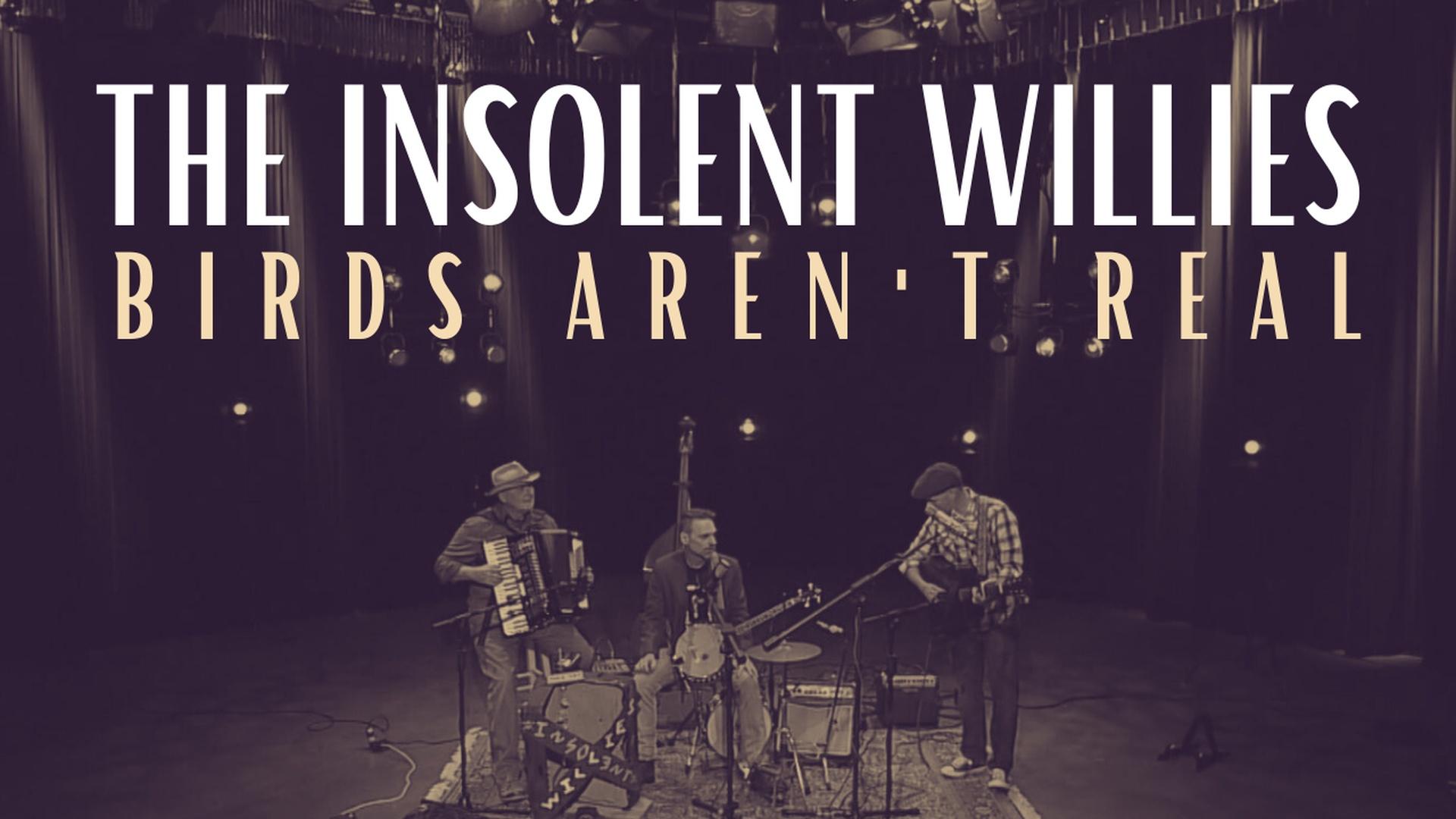 The Insolent Willies Perform "Birds Aren't Real" | AHA! A House for