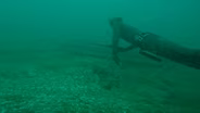 Spearfishing, Catfish Tournament, Bragging Board | Michigan Out of Doors