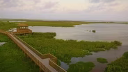Park Arts, Boardwalk Birds, Pronghorn Puzzle