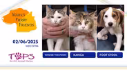 02/06/2025 | Winnie The Pooh, Kanga and Foot Stool | Mark’s Furry Friends Extra