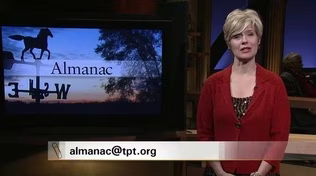 The Index File Section