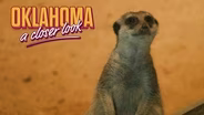 OKC Zoo Expedition Africa