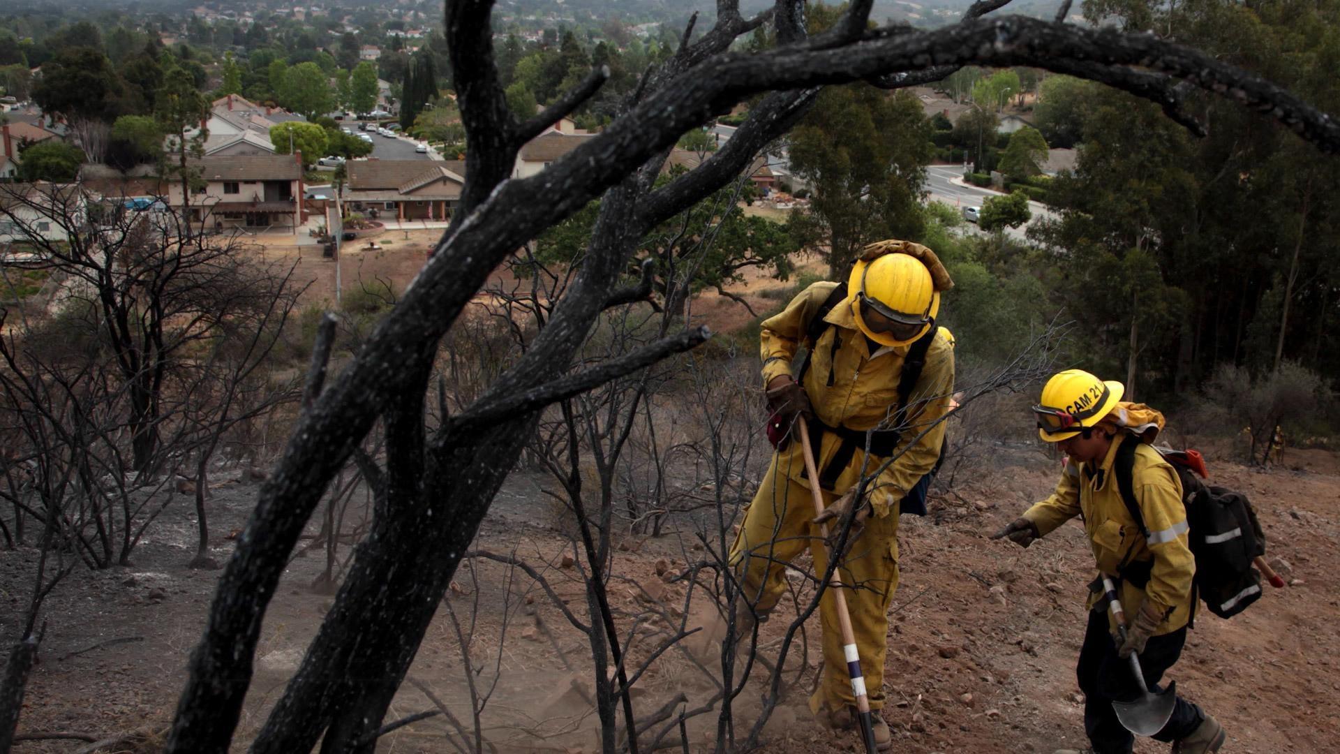 California Explores a Plan for Climate Insurance | July 29 - Vimarsana News