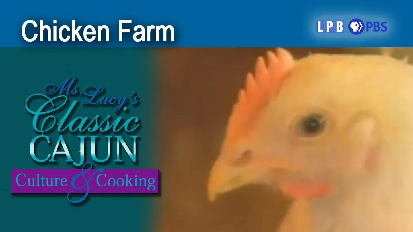 Chicken Farm
