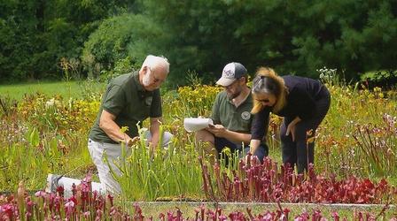 Video thumbnail: Maryland Farm & Harvest Episode 912