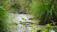 How can we manage the impact of fertilizers on our water systems?