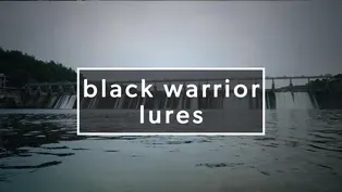 Black Warrior Lures