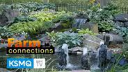 Farm Connections 1607: Hosta Gardening, MN Dairy Concerns