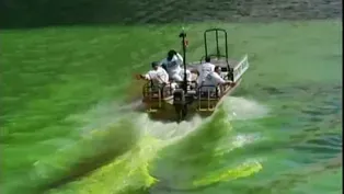 From the Archives: Green River