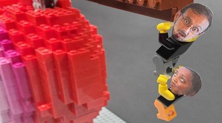 Video thumbnail: OPB Science From the Northwest What if we could 3D print new organs? | ASNF