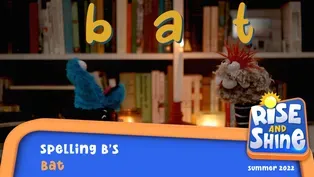 Spelling B's - Bat