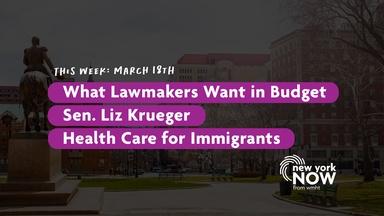 Wants in Budget, Sen. Liz Krueger, Immigrant Health Care