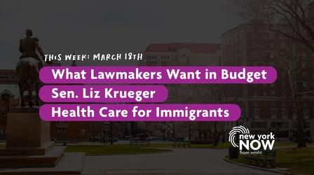 Video thumbnail: New York NOW Wants in Budget, Sen. Liz Krueger, Immigrant Health Care