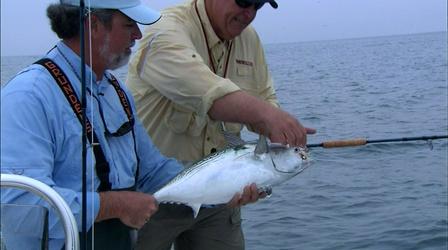 Video thumbnail: Carolina Outdoor Journal Albacore on the Fly