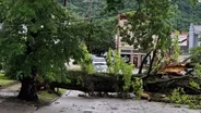 Storm Leaves Widespread Damage in Maysville