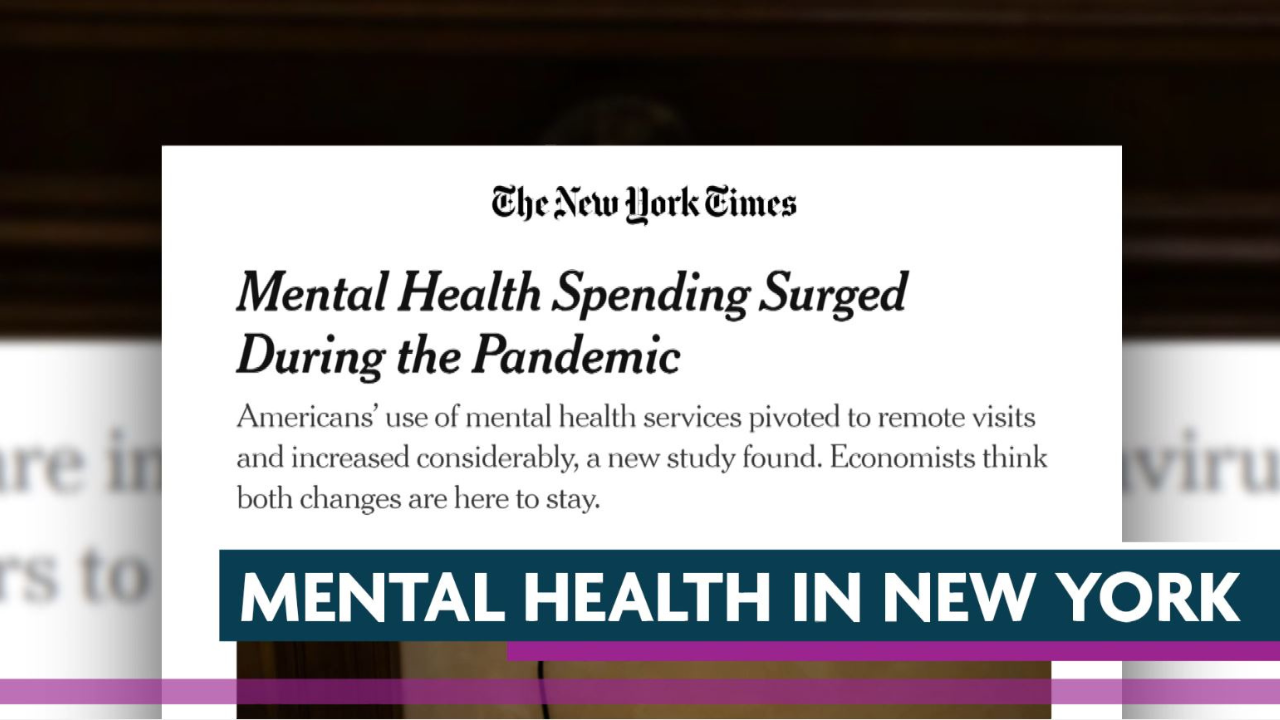 What Is New York Doing About Mental Health? | New York NOW | THIRTEEN ...