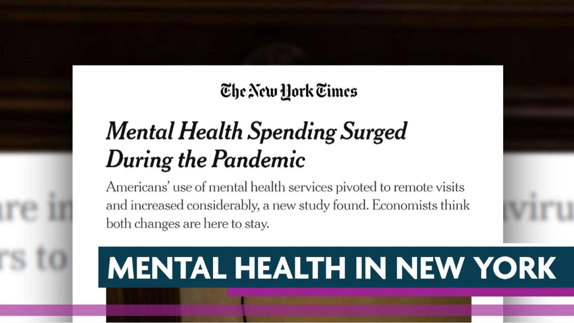What is New York Doing About Mental Health? | New York NOW | THIRTEEN ...