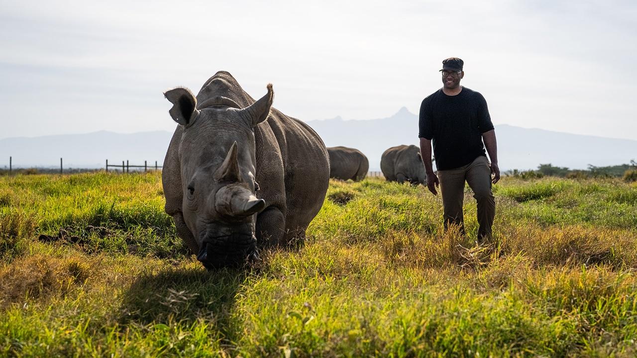 Human Footprint | The Northern White Rhino Rescue Mission