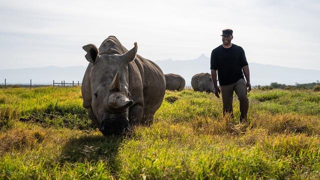 Human Footprint | The Northern White Rhino Rescue Mission