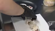 Chicago Company Hopes to Save the Seas With Faux Fish