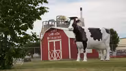 Small Farms